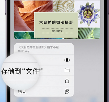 襄城apple维修中心分享iPhone文件应用中存储和找到下载文件