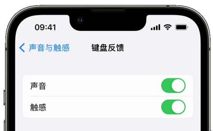 襄城苹果手机维修分享iPhone 14触感键盘使用方法 