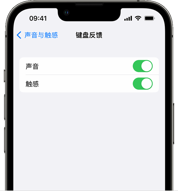 襄城苹果14维修店分享如何在 iPhone 14 机型中使用触感键盘 