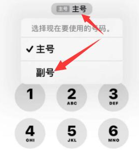 襄城苹果14维修店分享iPhone 14 Pro Max使用副卡打电话的方法 