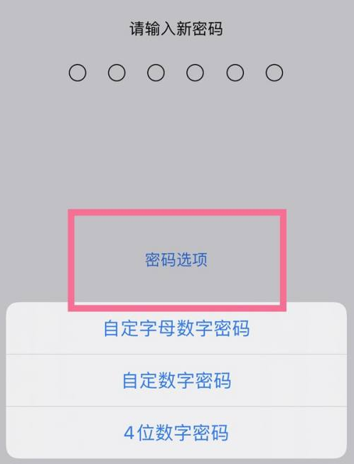 襄城苹果14维修分享iPhone 14plus设置密码的方法 