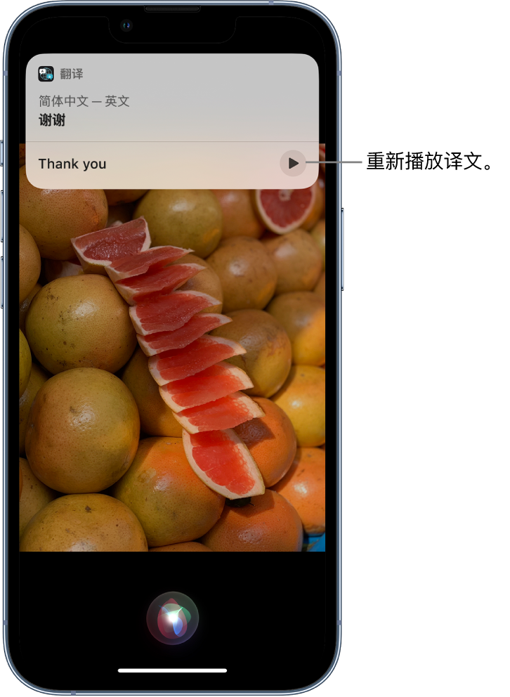 襄城苹果14维修分享 iPhone 14 机型中使用 Siri：了解 Siri 能帮你做什么 