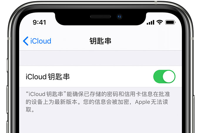 襄城苹果手机维修分享在 iPhone 上开启 iCloud 钥匙串之后会储存哪些信息 