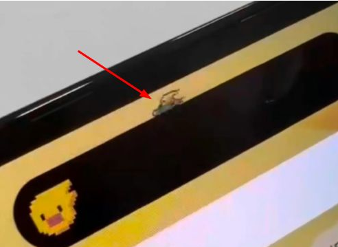 襄城苹果14维修分享iPhone 14 Pro Max灵动岛怎么养宠物 
