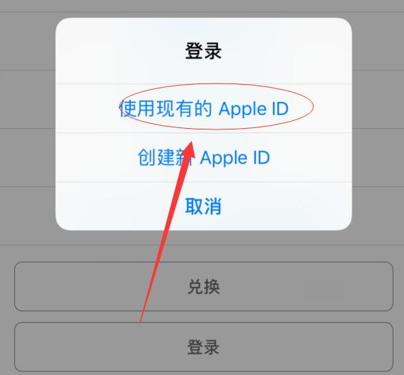 襄城苹果手机维修分享两台iPhone设备可以同时登录一个Apple ID吗 