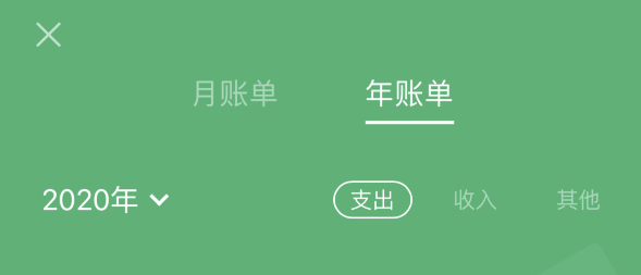 襄城苹果手机维修分享如何在 iPhone 上查看支付宝和微信年支出账单 