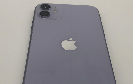 襄城苹果11系统维修分享iPhone11手机系统崩溃无法开机如何解决
